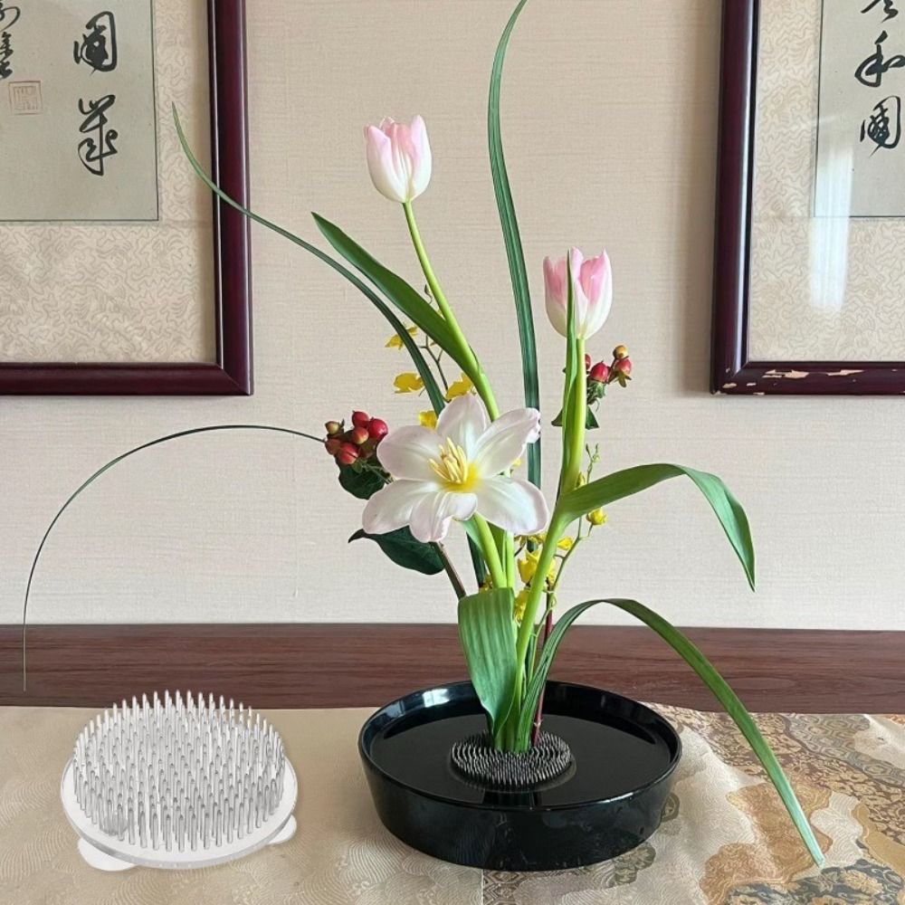 Ikebana Vase Kenzan - 1/3 Peças Suporte Transparente Circular para