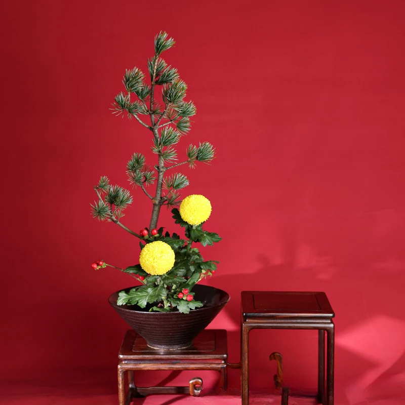 Vaso de sapo japonês, buquê de - Ikebana Vase Kenzan avaliação e preço