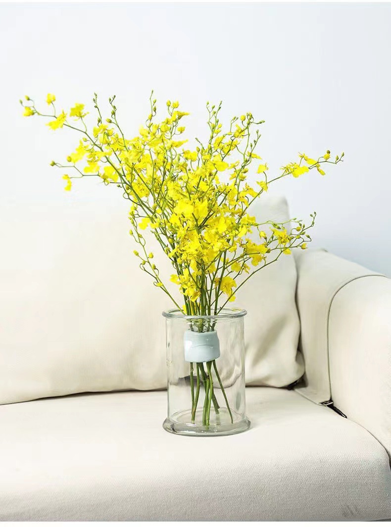 Suporte Espiral para Arranjos  - Ikebana Vase Kenzan avaliação e preço