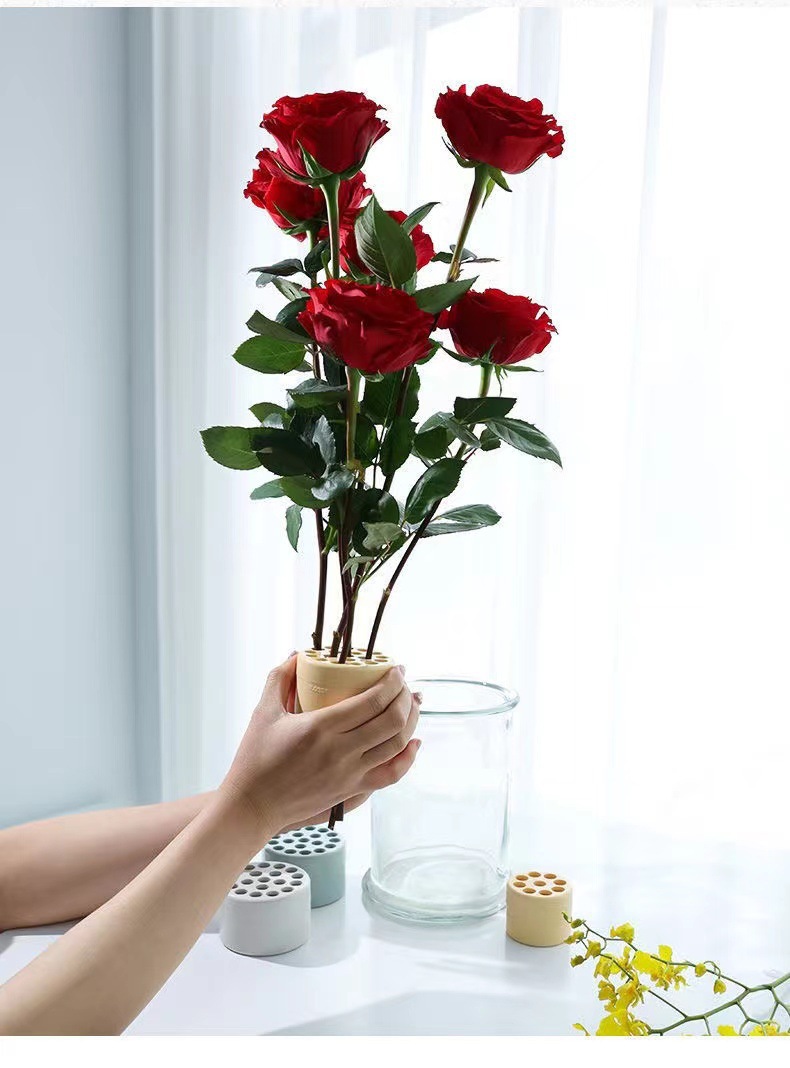 Suporte Espiral para Arranjos  - Ikebana Vase Kenzan avaliação e preço