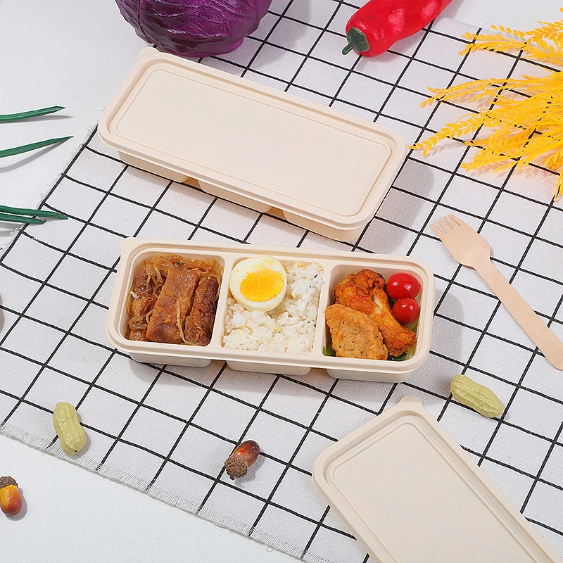 Lancheira de hambúrguer de cam - Bento Box Two Tier avaliação e preço