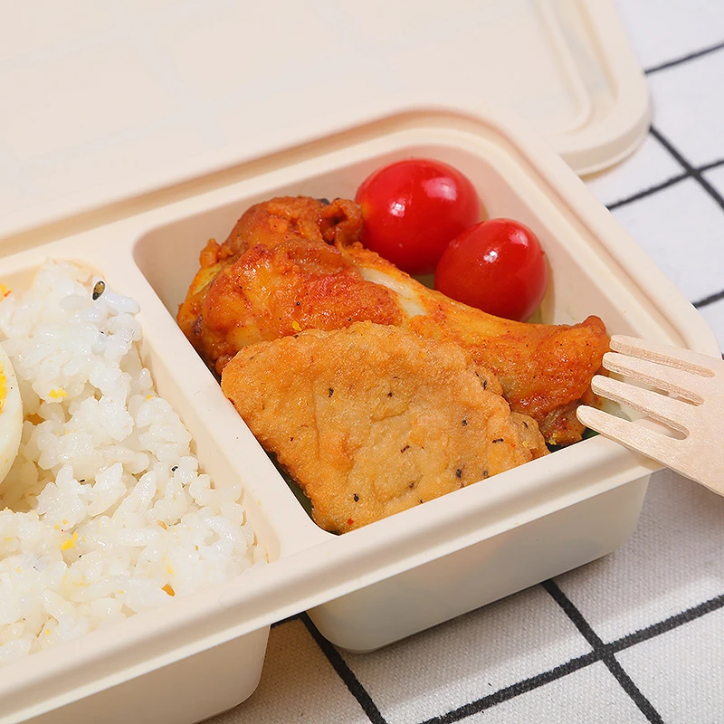 Lancheira de hambúrguer de cam - Bento Box Two Tier avaliação e preço